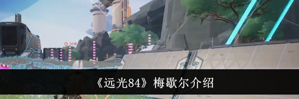 《远光84》梅歇尔介绍