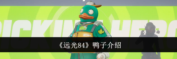 《远光84》鸭子介绍