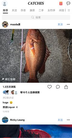 《渔获》使用教程