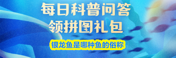 银龙鱼是哪种鱼的俗称