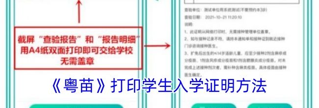 《粤苗》打印学生入学证明方法