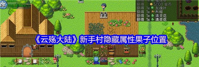 《云殇大陆》新手村隐藏属性果子位置