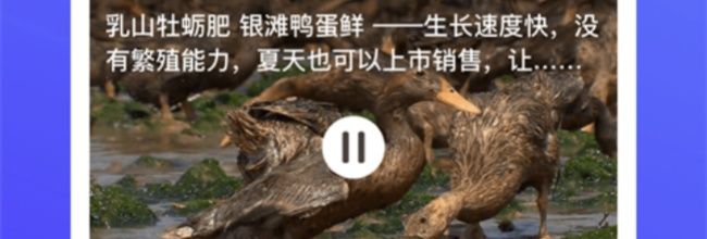 云上智农app账户注销方法