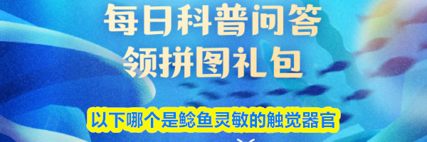 以下哪个是鲶鱼灵敏的触觉器官