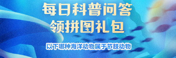 以下哪种海洋动物属于节肢动物