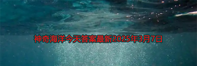 以下哪种海洋环境中的食物链被称为“黑色食物链”