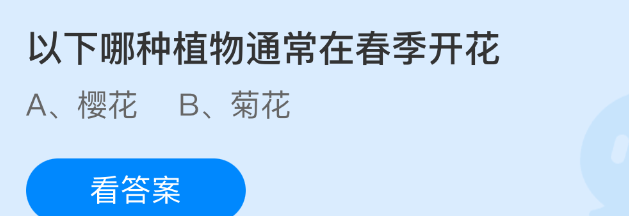以下哪种植物通常在春季开花