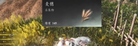 《燕云十六声》滹沱麦子相关成就获取方法