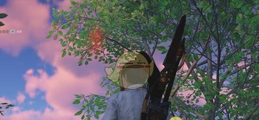 《燕云十六声》抬头花见红收集位置