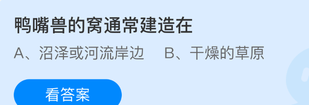 鸭嘴兽的窝通常建造在