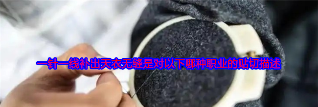 一针一线补出天衣无缝是对以下哪种职业的贴切描述