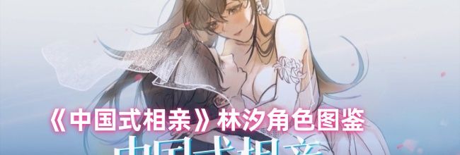 《中国式相亲》林汐角色图鉴