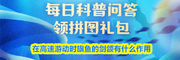 在高速游动时旗鱼的剑颌有什么作用