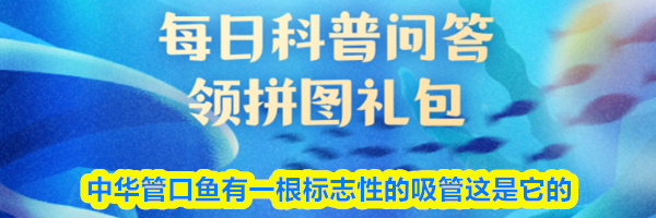 中华管口鱼有一根标志性的吸管这是它的
