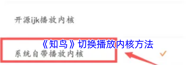 《知鸟》切换播放内核方法