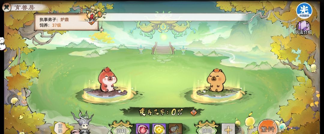 最强祖师育兽房玩法介绍